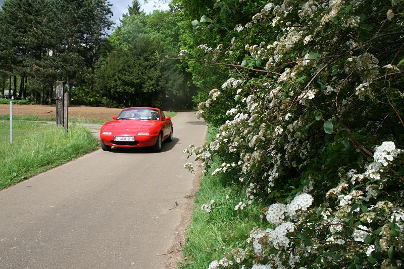 Mei Oldtimerrit (233).JPG